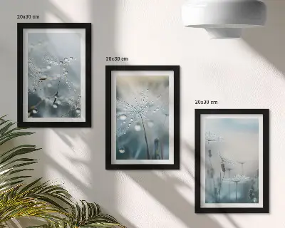 Dewdrops on delicate dandelions framed triptych