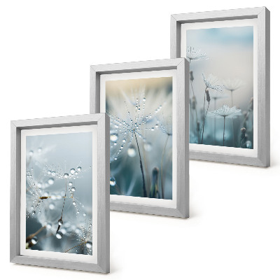 Framed triptych Dewdrops on delicate dandelions