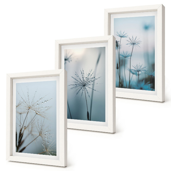 3-piece wall art set Delicate dandelions with water drops