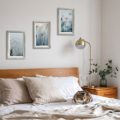 3-piece wall art set Delicate dandelions with water drops