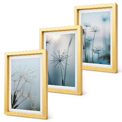 3-piece wall art set Delicate dandelions with water drops