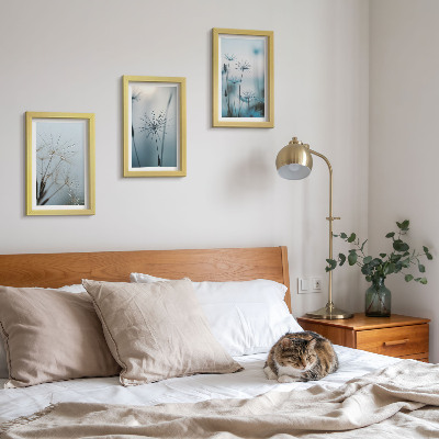 3-piece wall art set Delicate dandelions with water drops