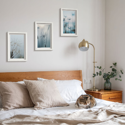 3-piece wall art set Delicate dandelions with water drops