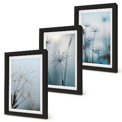 3-piece wall art set Delicate dandelions with water drops