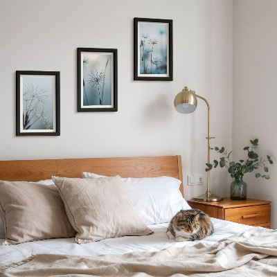 3-piece wall art set Delicate dandelions with water drops