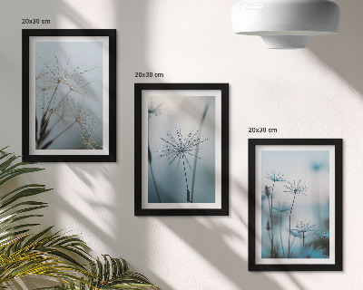 3-piece wall art set Delicate dandelions with water drops