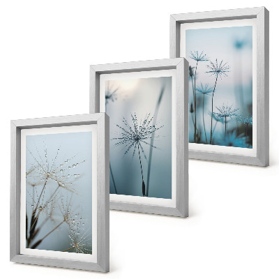 3-piece wall art set Delicate dandelions with water drops