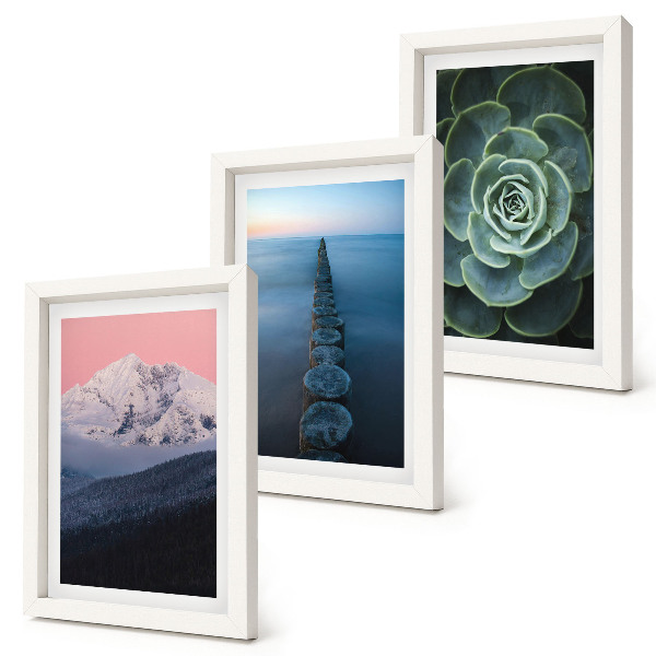 Framed triptych Mountains with pink sky, water and green succulent