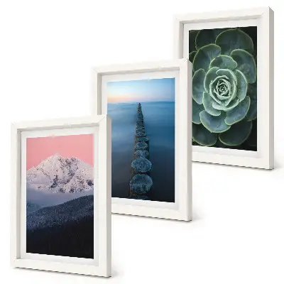 Framed triptych mountains with a pink sky, water, and green succulents