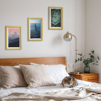 Framed triptych Mountains with pink sky, water and green succulent