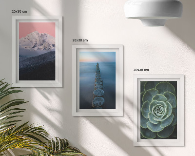 Framed triptych Mountains with pink sky, water and green succulent
