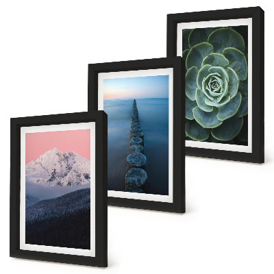Framed triptych Mountains with pink sky, water and green succulent