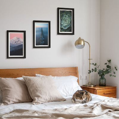 Framed triptych Mountains with pink sky, water and green succulent
