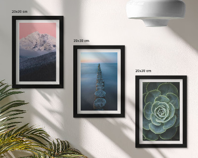 Framed triptych Mountains with pink sky, water and green succulent