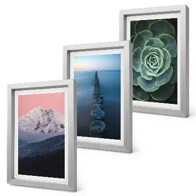 Framed triptych mountains with a pink sky, water, and green succulents