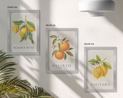 Framed triptych Lemons and oranges from Italy's Amalfi Coast