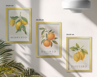 Framed triptych Lemons and oranges from Italy's Amalfi Coast