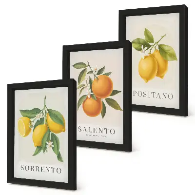 Lemons and Oranges from Italy's Amalfi Coast framed triptych