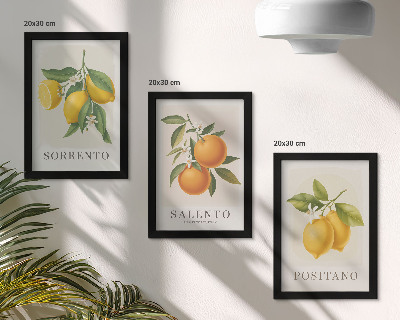 Framed triptych Lemons and oranges from Italy's Amalfi Coast