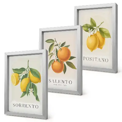 Lemons and Oranges from Italy's Amalfi Coast framed triptych