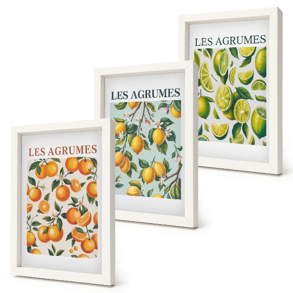 Framed triptych Fruity citrus patterns in pastel colors