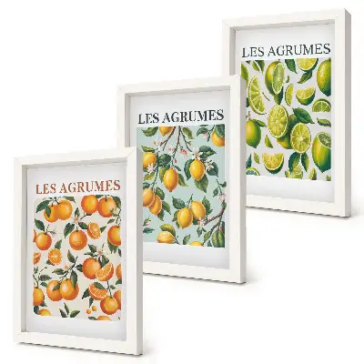 Fruity citrus patterns in pastel colors framed triptych
