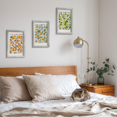 Framed triptych Fruity citrus patterns in pastel colors