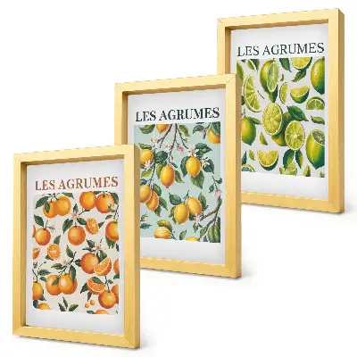 Fruity citrus patterns in pastel colors framed triptych