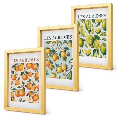 Framed triptych Fruity citrus patterns in pastel colors