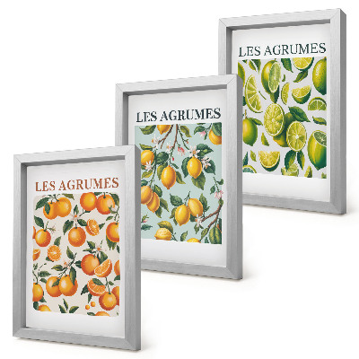 Framed triptych Fruity citrus patterns in pastel colors