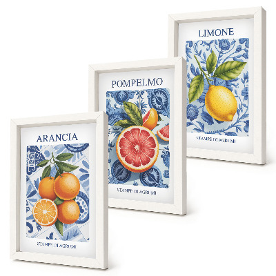 Photo frame wall Vintage citrus fruit illustrations
