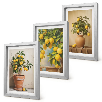 3-piece wall art set Lemon trees in pots and vases