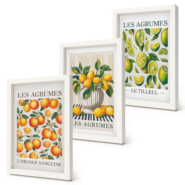 Photo frame wall Citrus fruits in various colorful and fresh versions