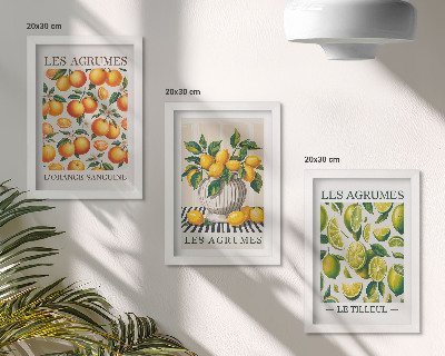 Photo frame wall Citrus fruits in various colorful and fresh versions