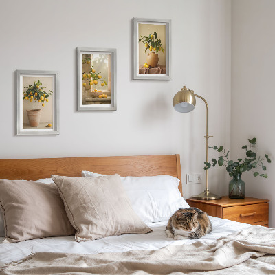 Framed triptych Lemon trees in pots and on the window