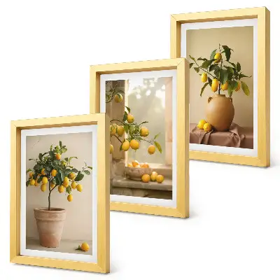 Lemon trees in pots and on the window framed triptych