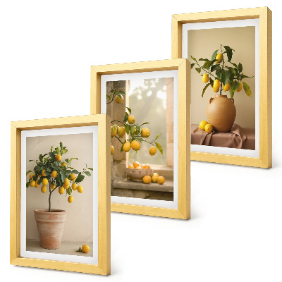 Framed triptych Lemon trees in pots and on the window