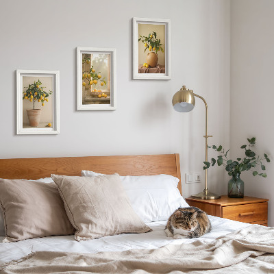 Framed triptych Lemon trees in pots and on the window