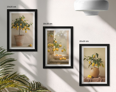 Framed triptych Lemon trees in pots and on the window