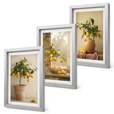 Framed triptych Lemon trees in pots and on the window