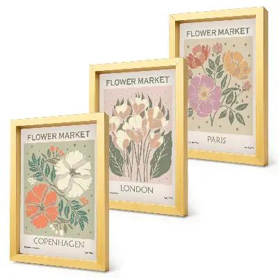 Floral posters of Copenhagen, London, and Paris framed triptych