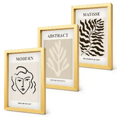 3-piece wall art set Henri Matisse face and leaves illustrations