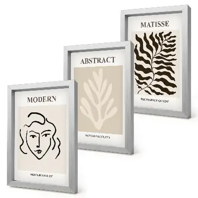 3-piece wall art set Henri Matisse face and leaves illustrations