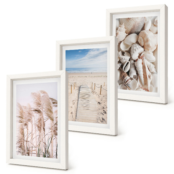 Framed triptych Sandy beach with shells and sea grass