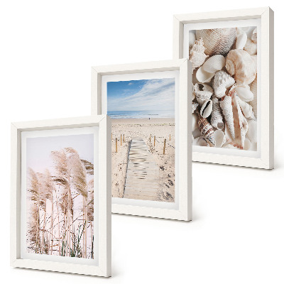 Framed triptych Sandy beach with shells and sea grass