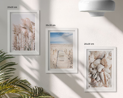 Framed triptych Sandy beach with shells and sea grass