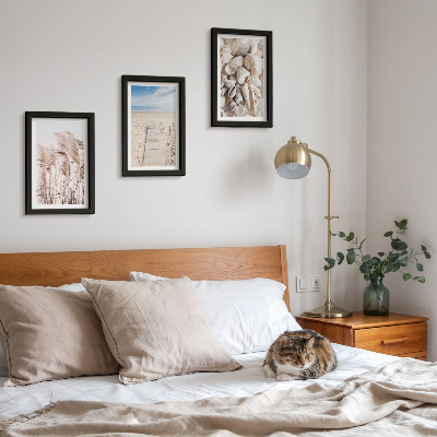 Framed triptych Sandy beach with shells and sea grass