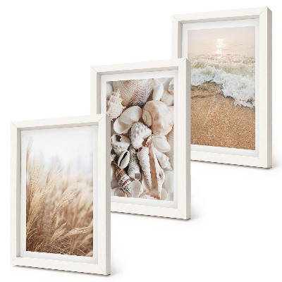 Photo frame wall Beach motifs with shells and sea waves