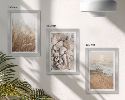 Photo frame wall Beach motifs with shells and sea waves