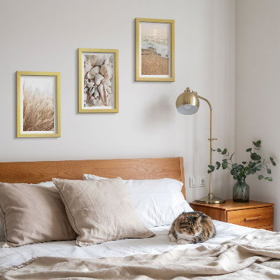 Photo frame wall Beach motifs with shells and sea waves